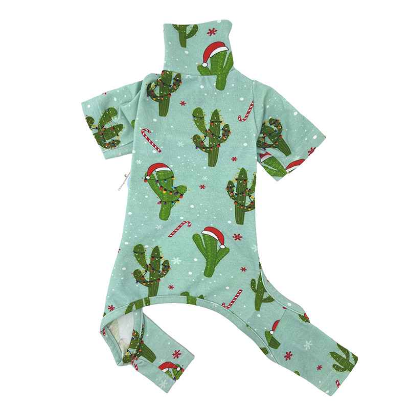 Holiday Cactus Printed Pajamas