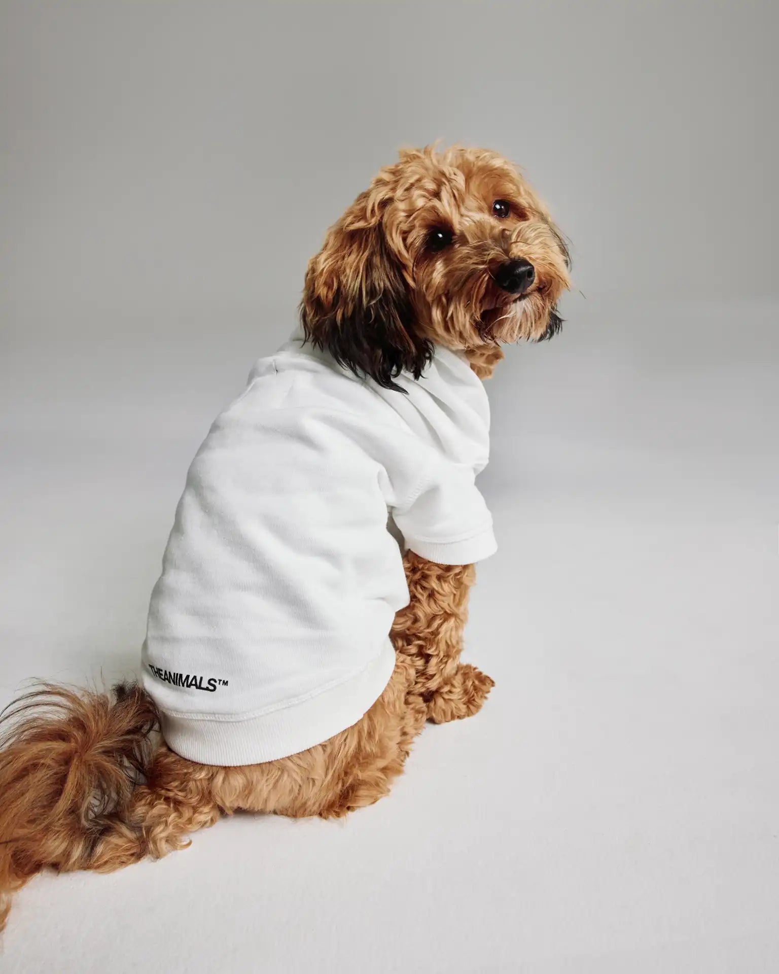 Hooded Dog Logo Sweatshirt