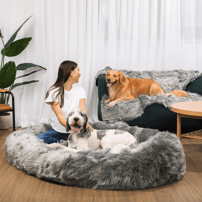 PupCloud™ Human-Size Dog Bed + Matching Waterproof Blanket Bundle - Charcoal Grey