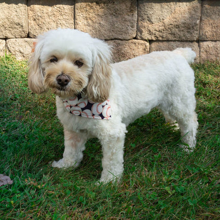 I love Baseball! Dog Bandana