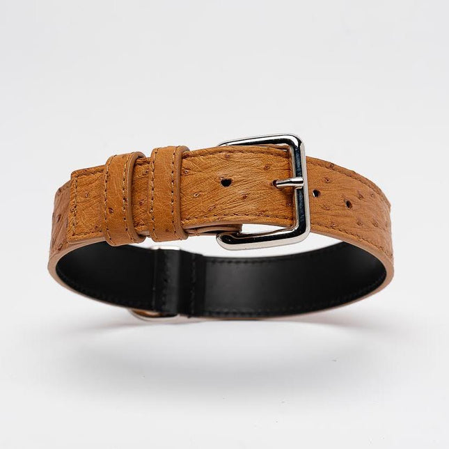 Havana Ostrich-Collar