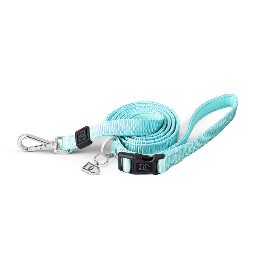 Secure-In-Place Dog Leash - Fifth Avenue Blue