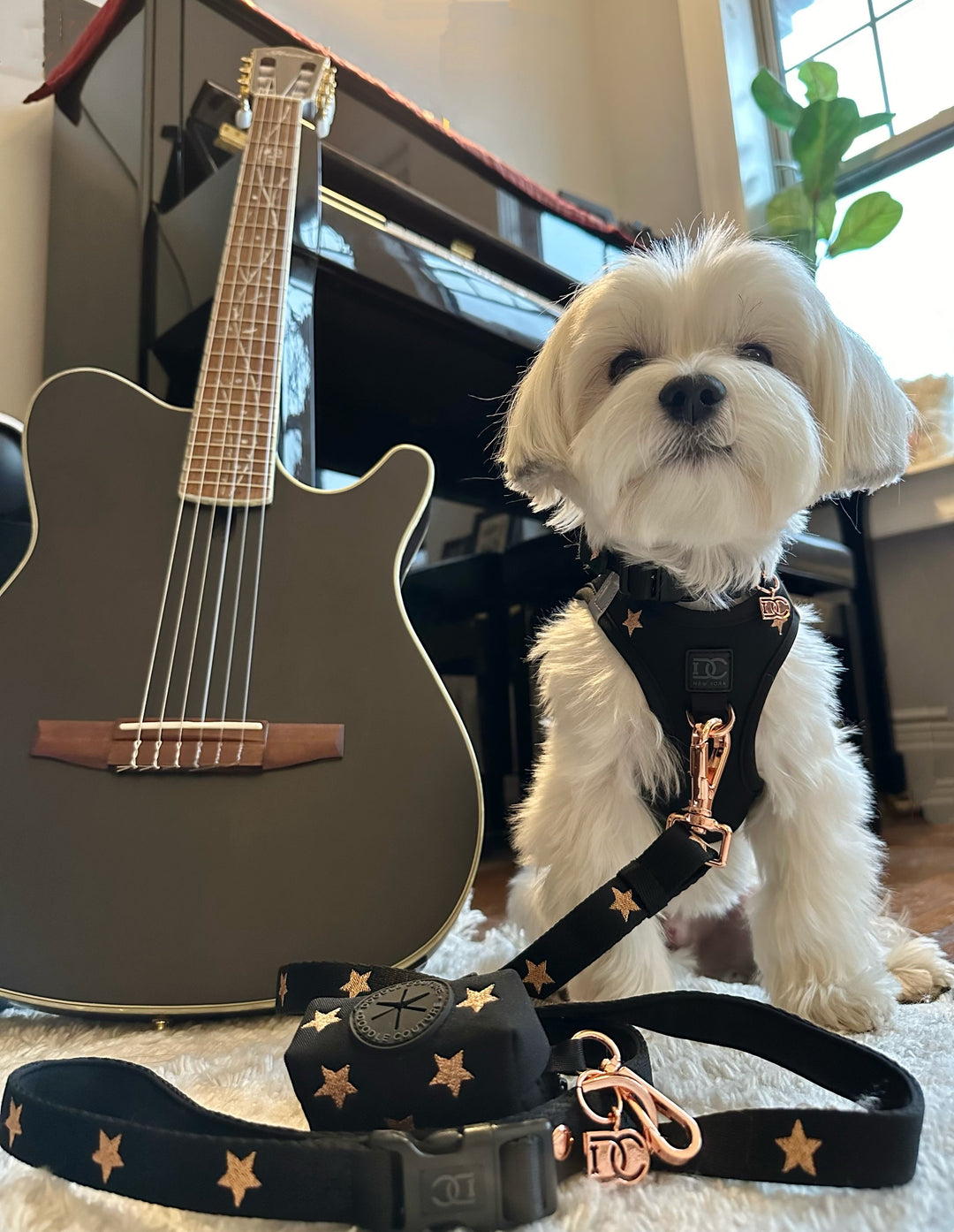 Luxe No Pull Step-In Dog Harness - Embroidered Rockstar