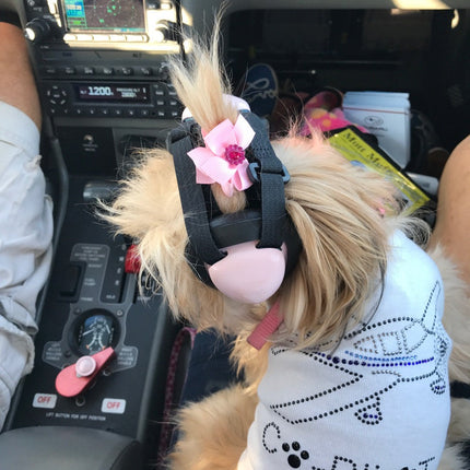 Co-Pilot Airplane (white) - Dog Tank