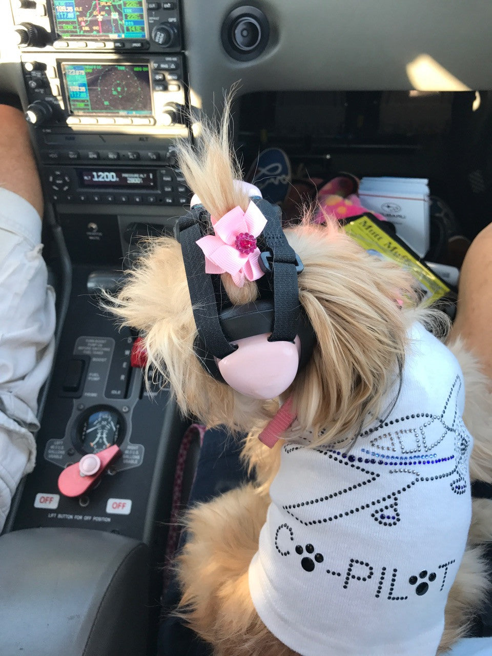 Co-Pilot Airplane (black) - Dog Tank