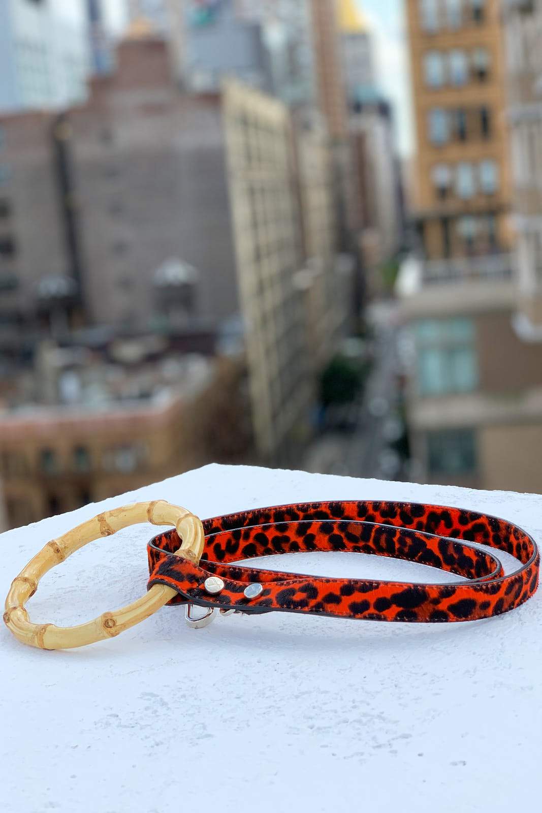 Sasha Leash - Red Leopard