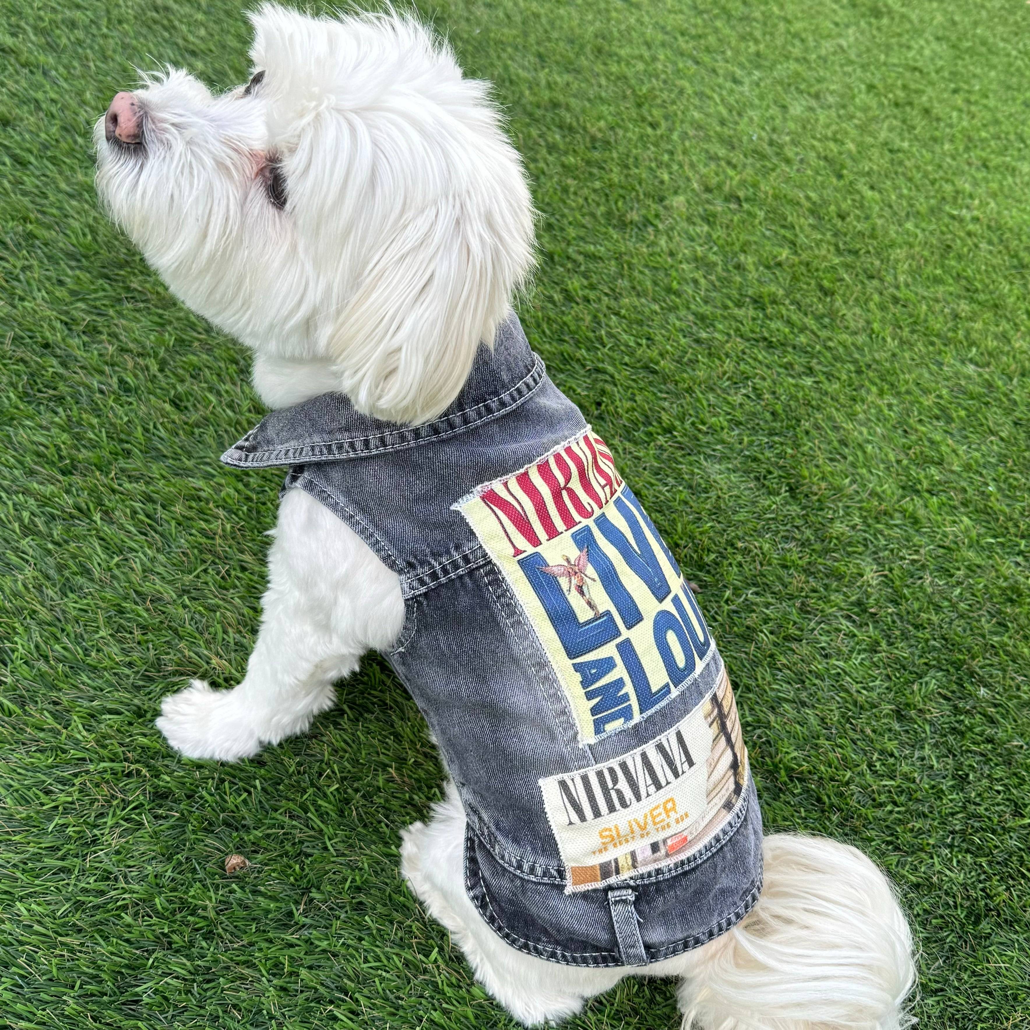 Iconic Nirvana Artwork Vest