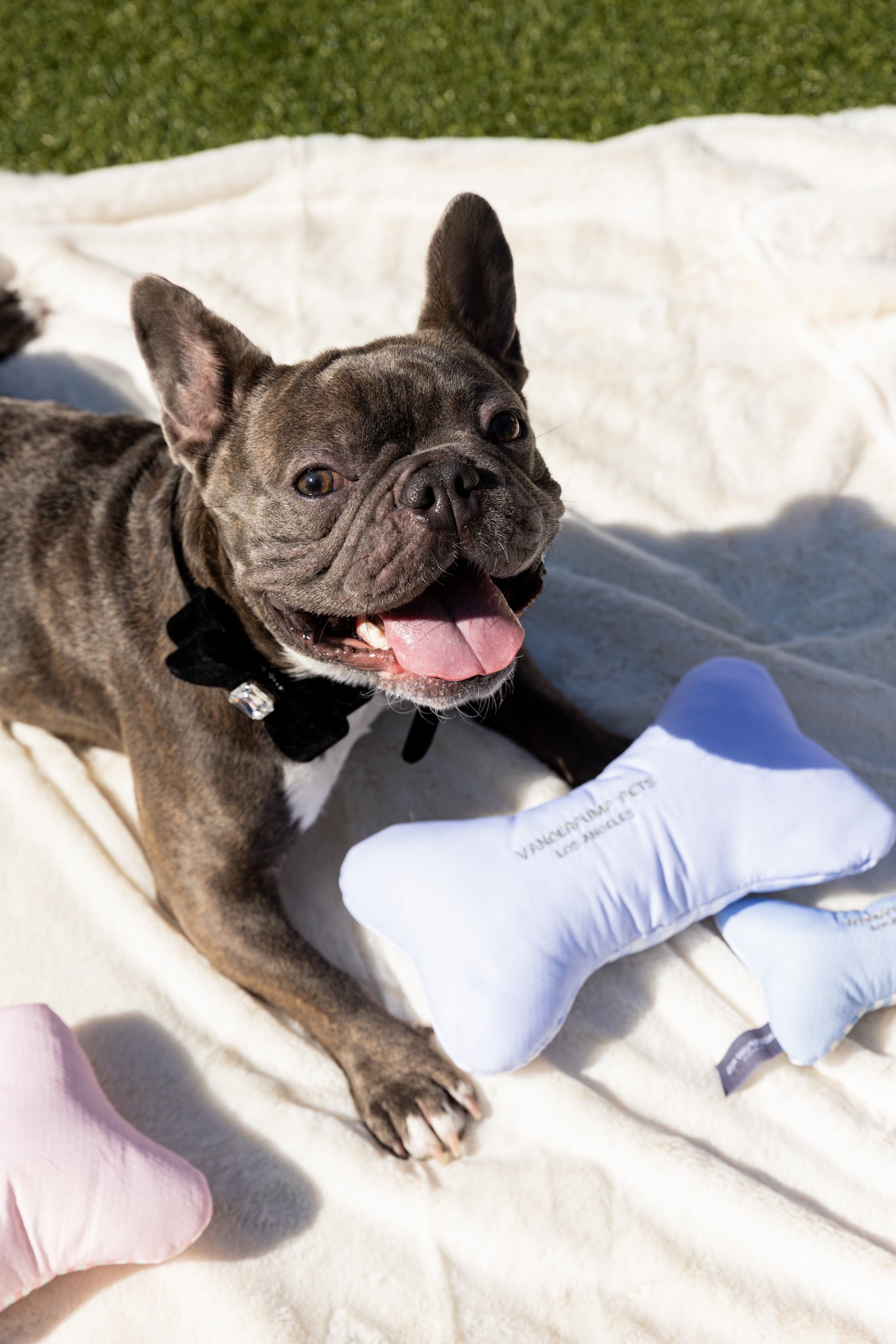 Vanderpump Pets Plush Toy Bones - Blue Striped