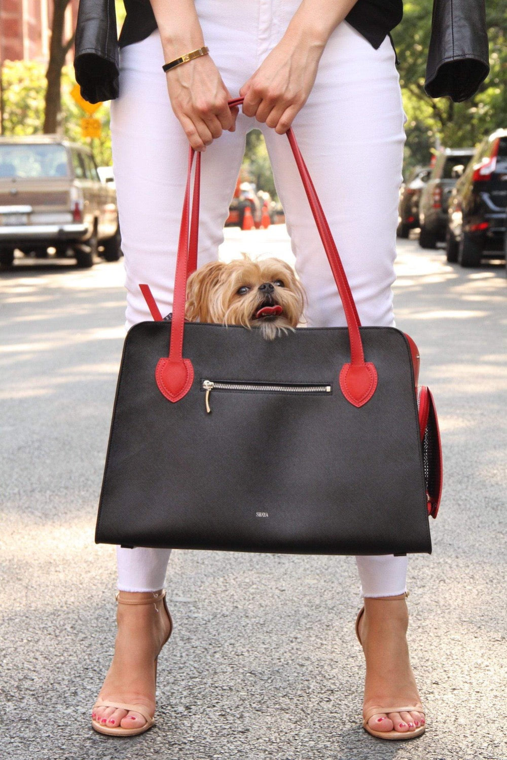 Ruby Shaya Pet Carrier