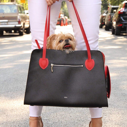 Ruby Shaya Pet Carrier