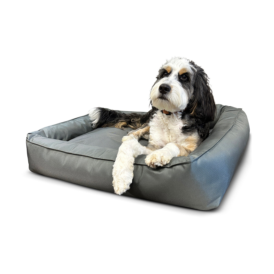 Titan Citadel Ballistic Dog Bed Gunmetal Gray