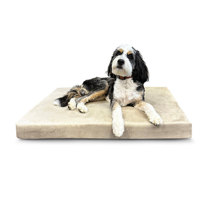 Deluxe Memory Foam Dog Bed