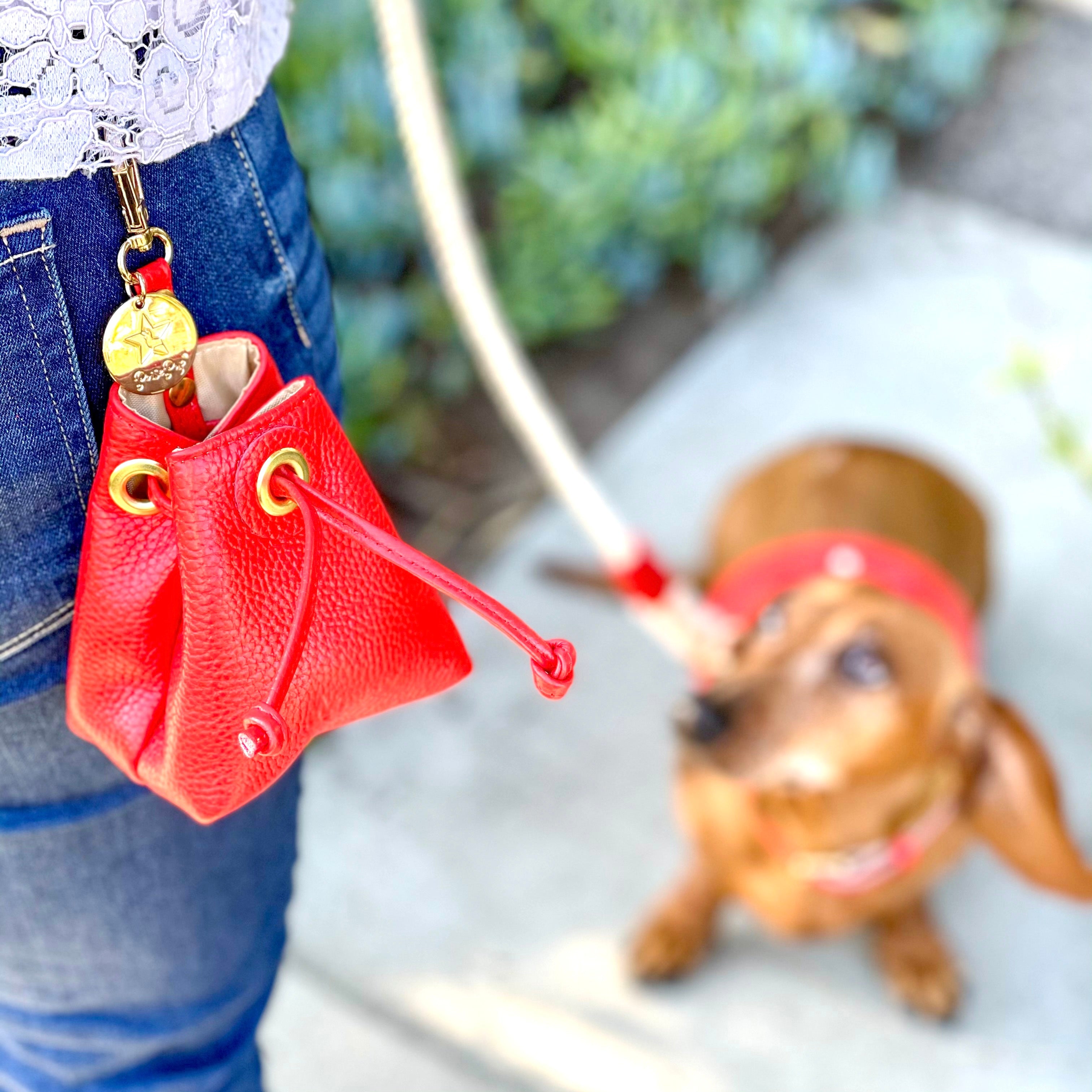 TREAT BAG - MELTING HEARTS