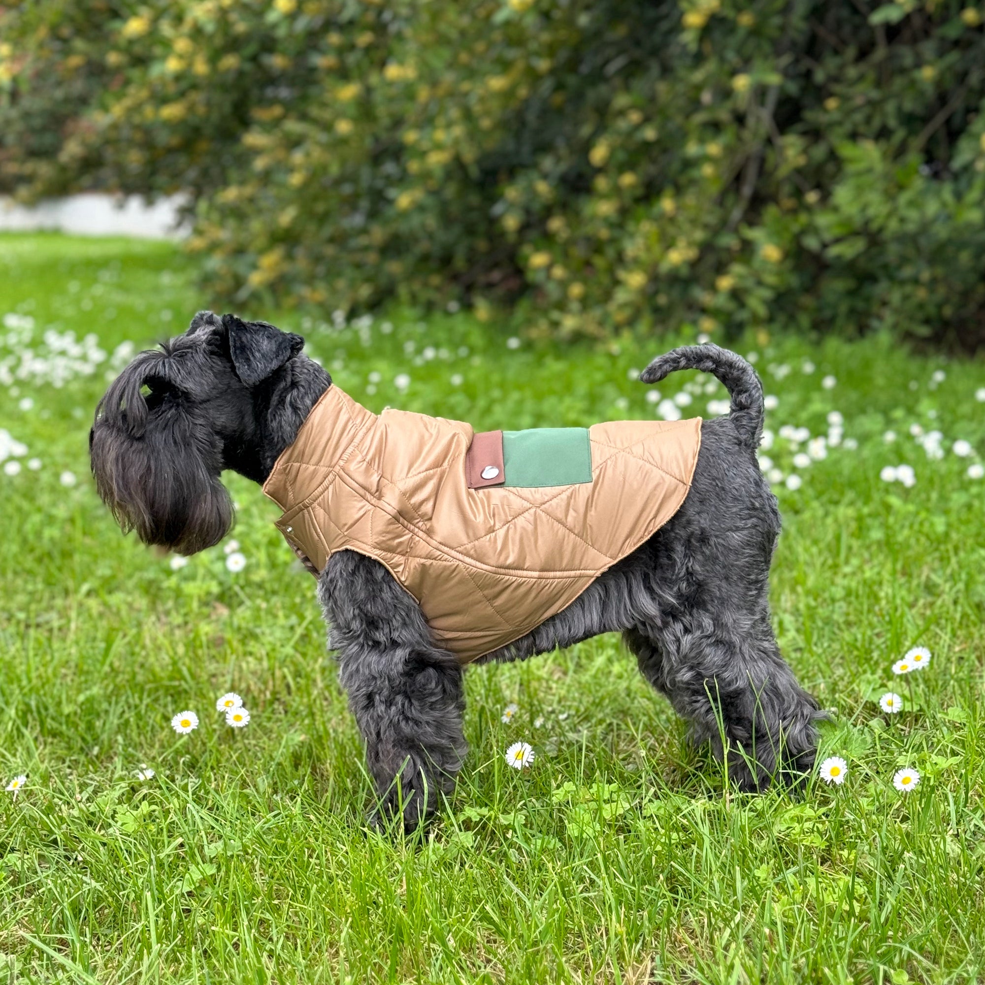 All Season Quilt Dog Coat