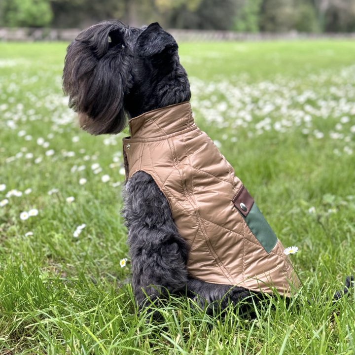 All Season Quilt Dog Coat