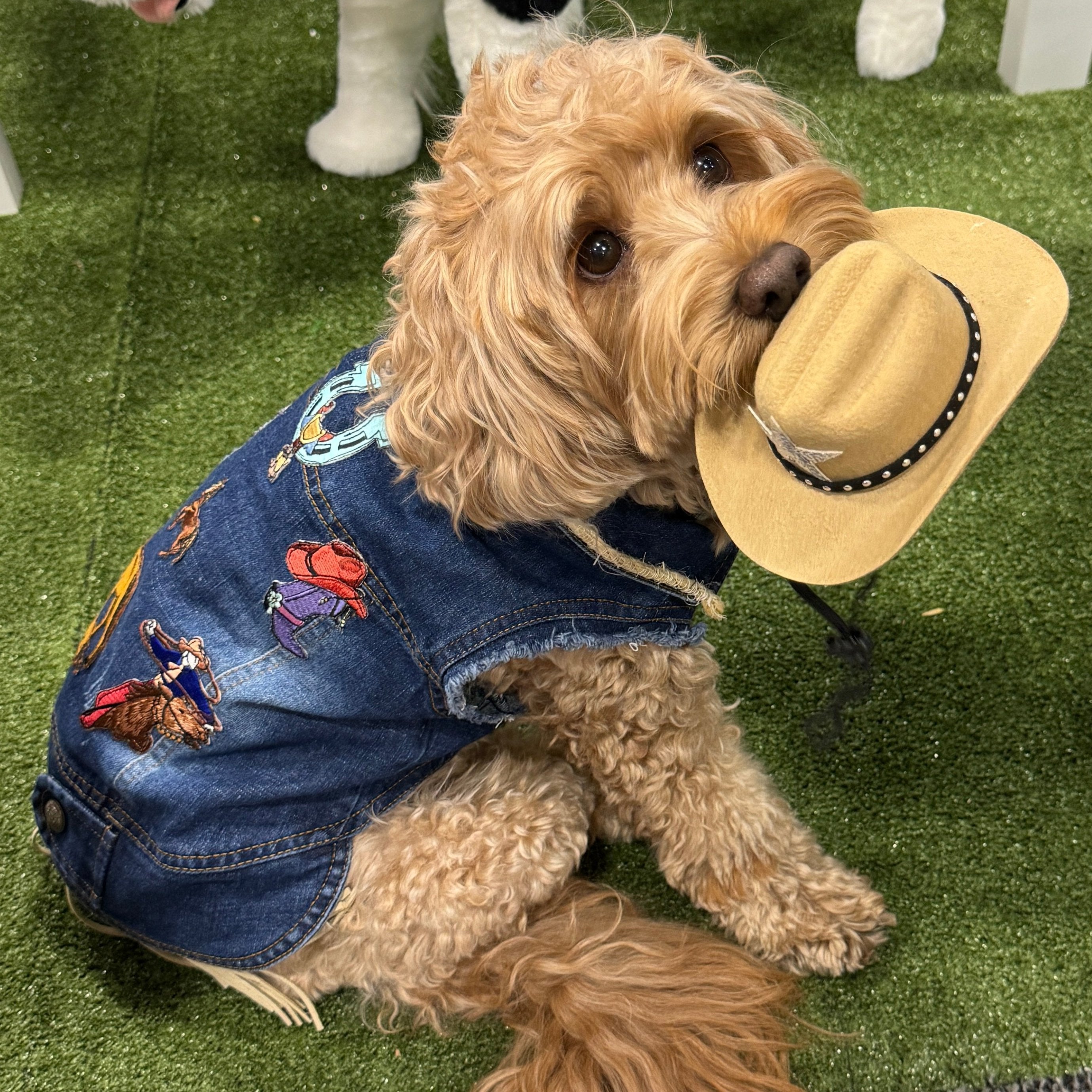 Rodeo Vest