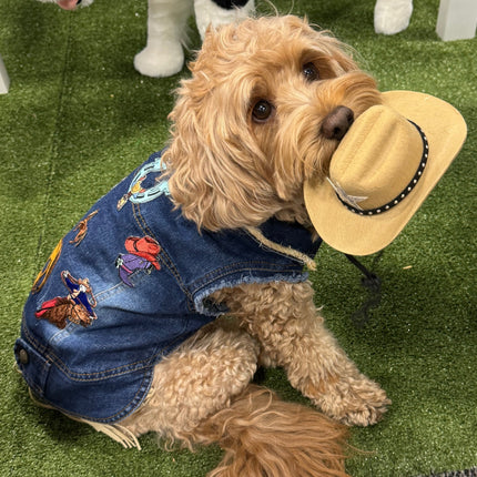 Rodeo Vest