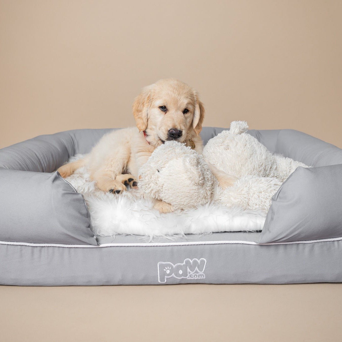 PupLounge Memory Foam Bolster Bed & Topper