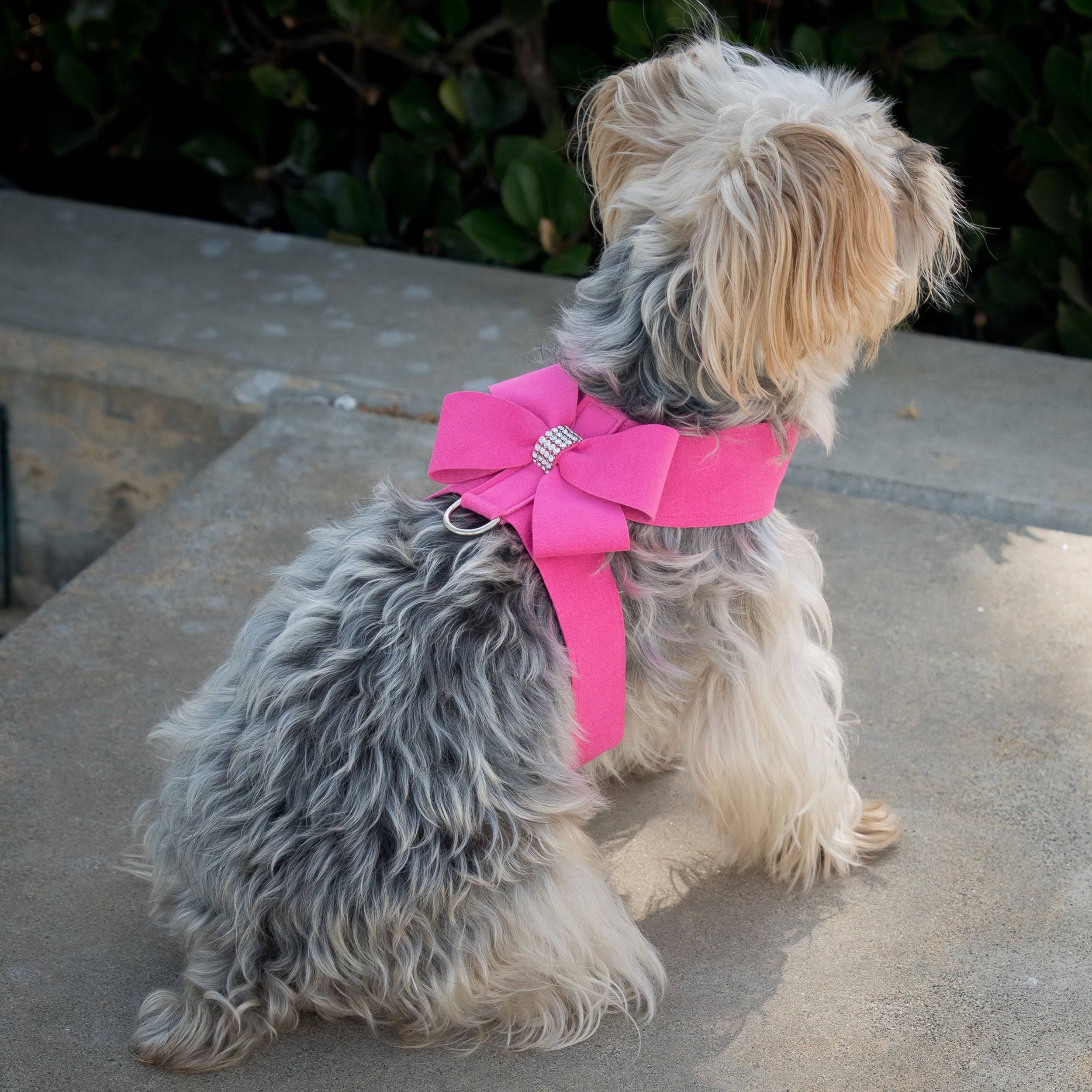 Nouveau Bow Tinkie Harness