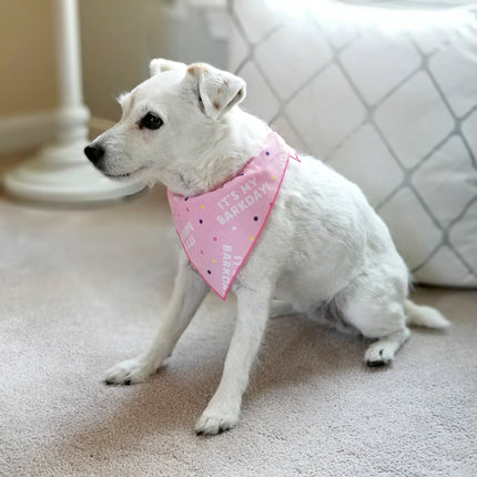 It's My Barkday Bandana