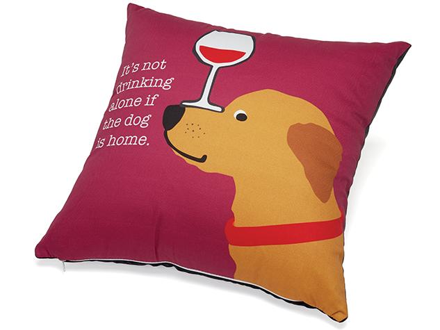 Pillow: It's Not Drinking if the Dog is Home