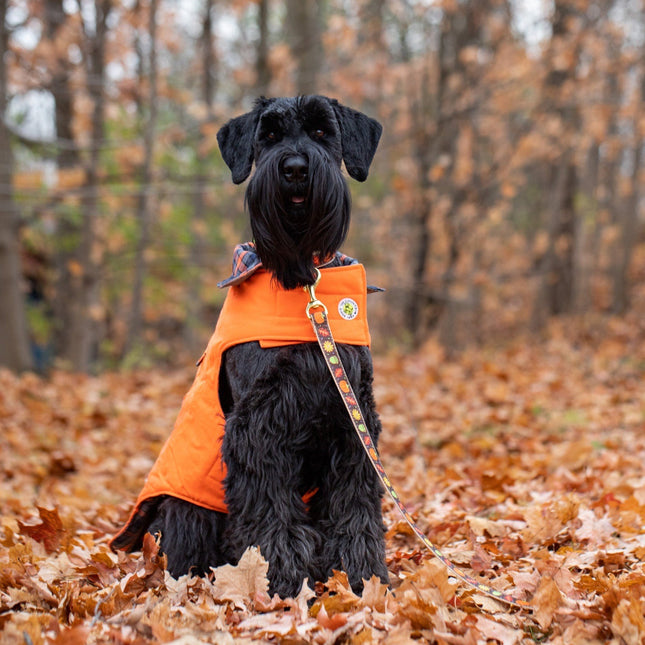 Orange Field Coat