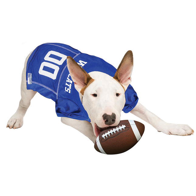 Kentucky Wildcats Dog Jersey