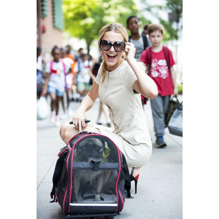 Katziela® Luxury Rider Pet Carrier with Removable Wheels and Telescopic Handle