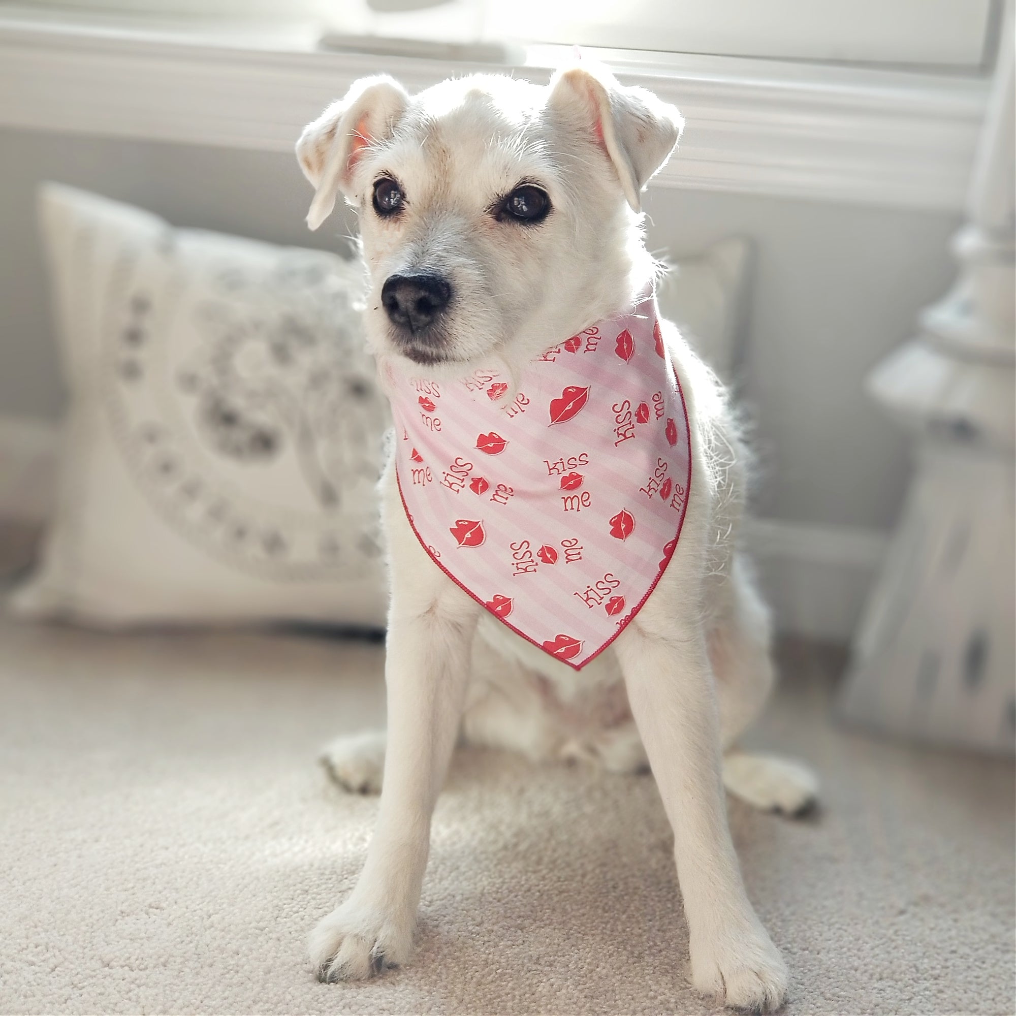 Kiss Me Lips Valentine Bandana