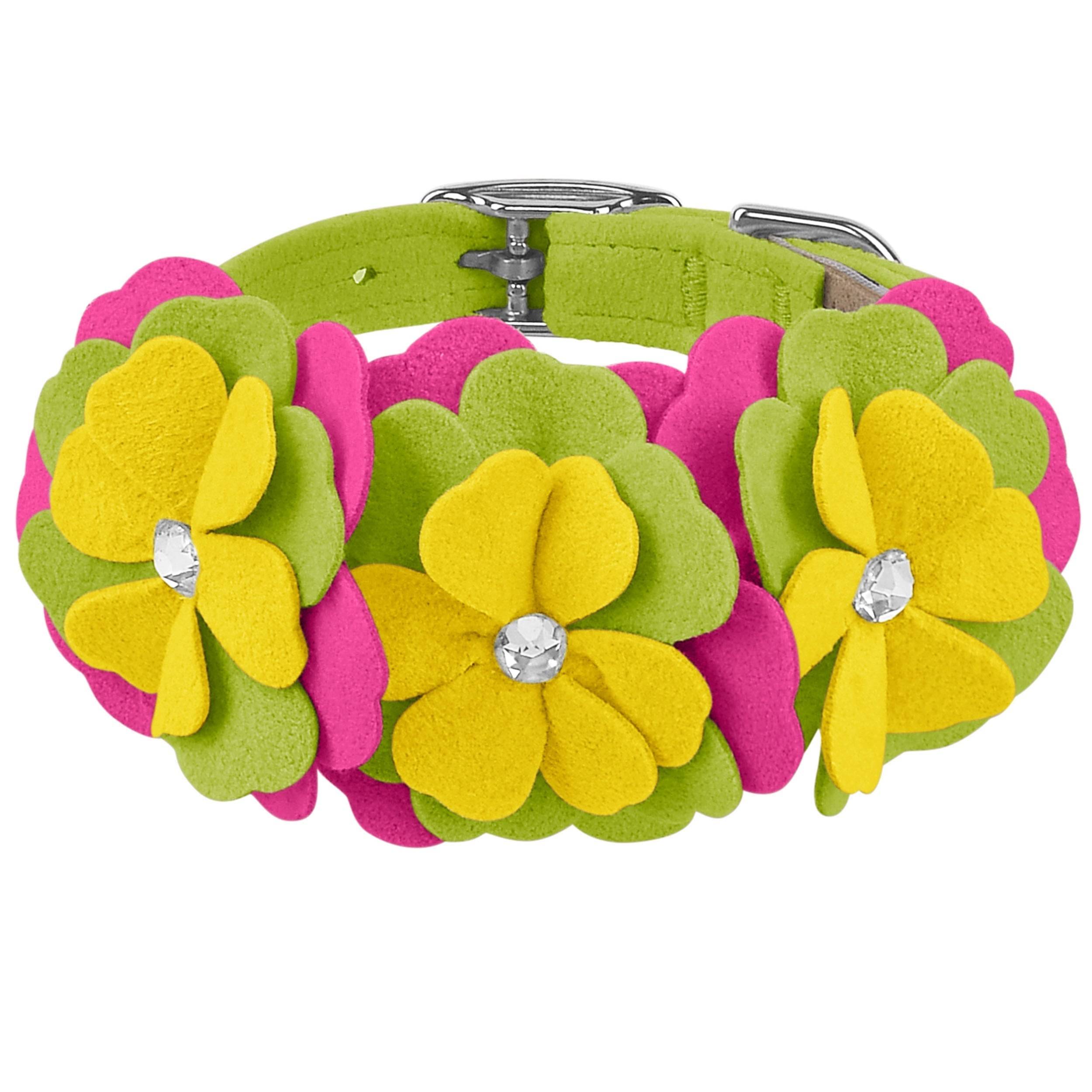 Dragon Fruit Flower Collar Kiwi