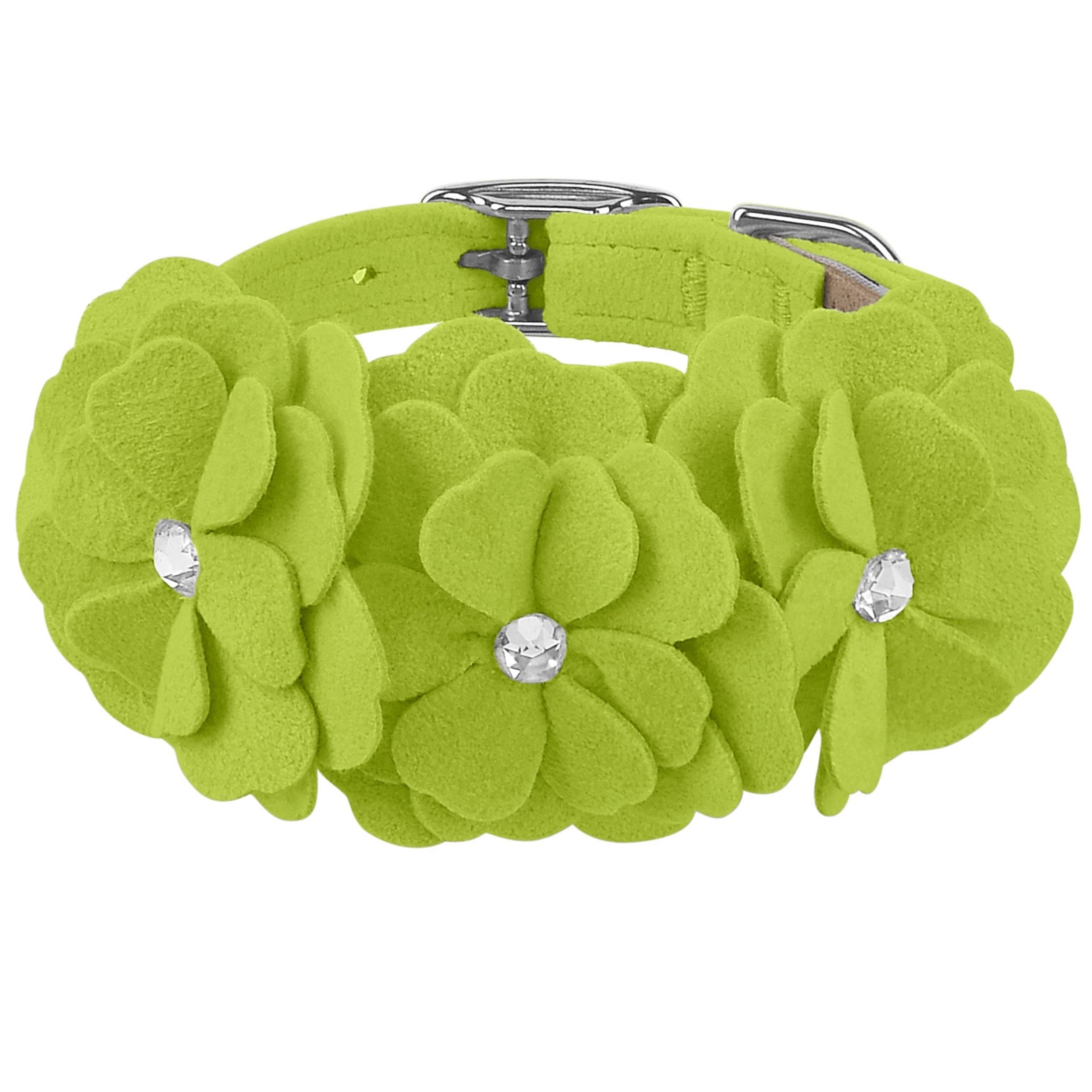 Tinkie's Garden Flower Collar Kiwi