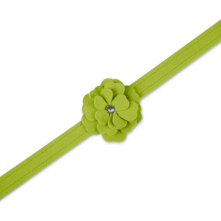 Spring Colors Tinkie's Garden Flower Leash