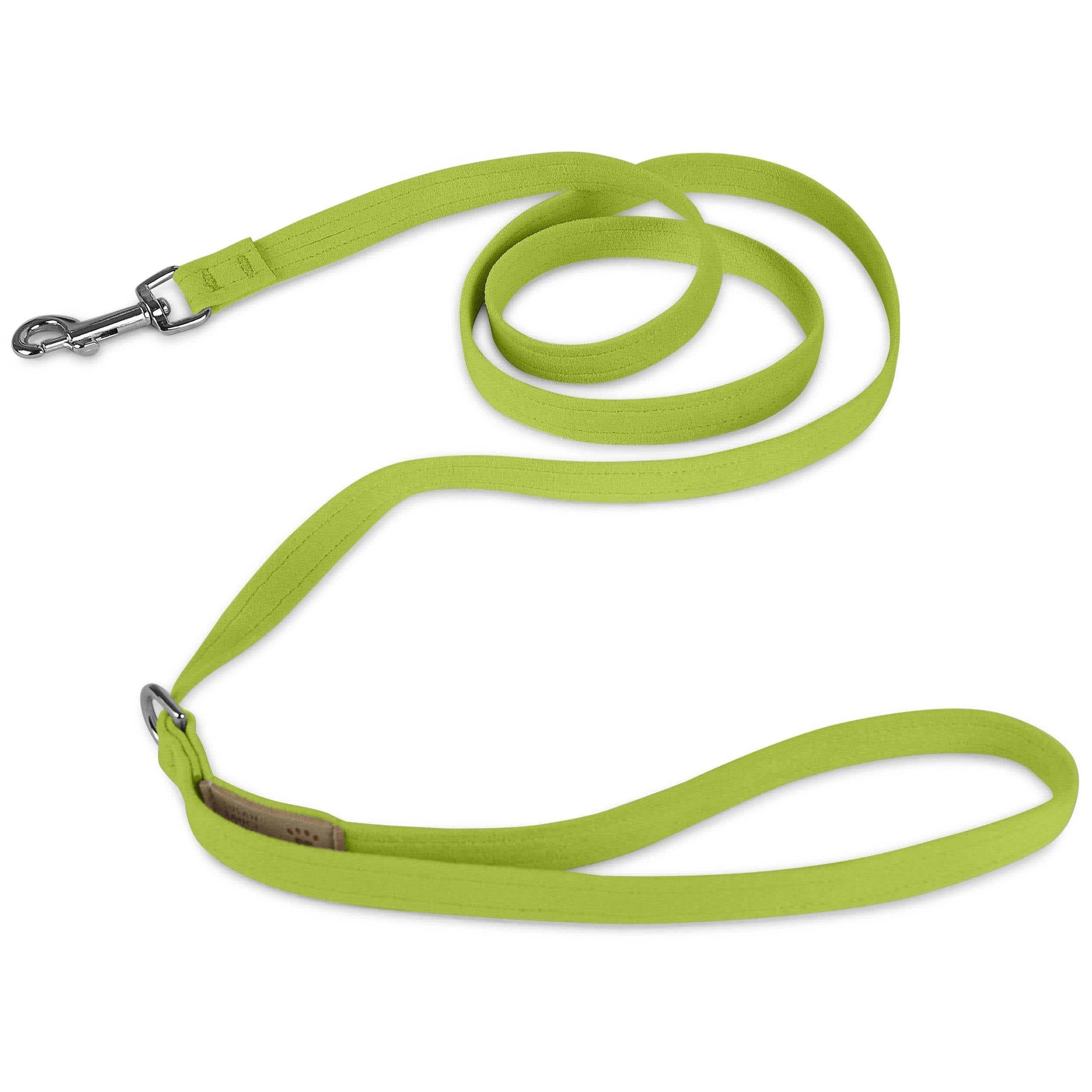 Spring Colors Leash Kiwi