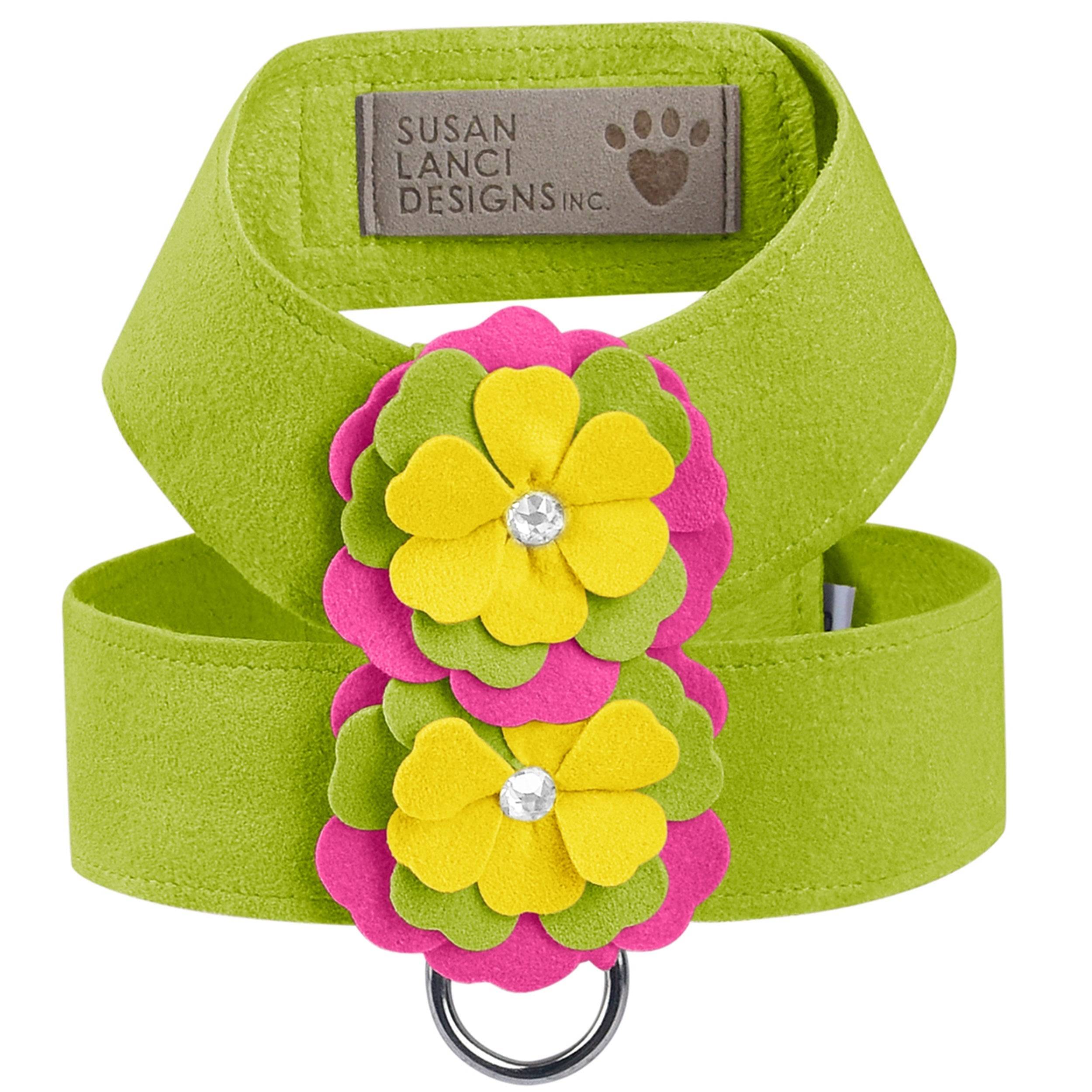 Dragon Fruit Flower Tinkie's Harness Kiwi