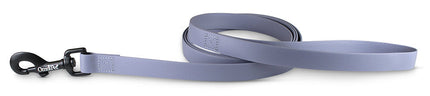 Grey Carnival Biothane Dog Collar / Lead