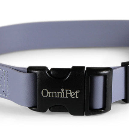 Grey Carnival Biothane Dog Collar / Lead