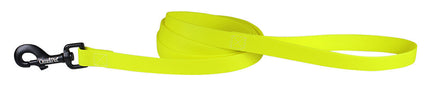 Neon Yellow Carnival Biothane Dog Collar / Lead