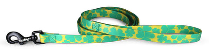 Lucky Gold Attitudz Biothane Dog Collar / Lead