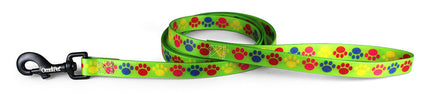 Pop Paws Attitudz Biothane Dog Collar / Lead