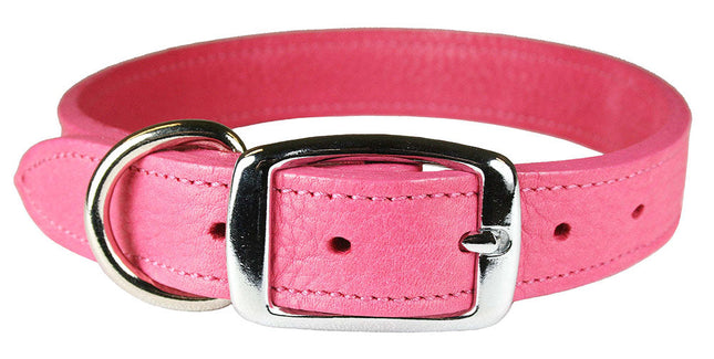 Flamingo Luxe Leather Dog Collar / Lead