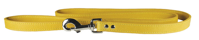 Golden Rod Luxe Leather Dog Collar / Lead