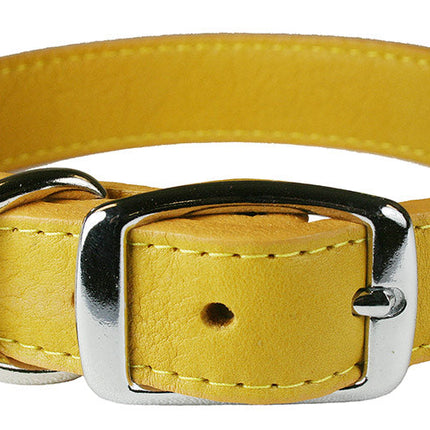 Golden Rod Luxe Leather Dog Collar / Lead