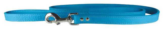 Turquoise Luxe Leather Dog Collar / Lead