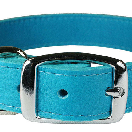 Turquoise Luxe Leather Dog Collar / Lead