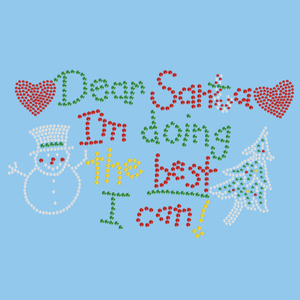 Dear Santa I'm Doing the Best I Can - Women's T-shirt