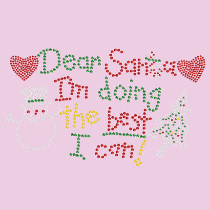 Dear Santa I'm Doing the Best I Can - Women's T-shirt