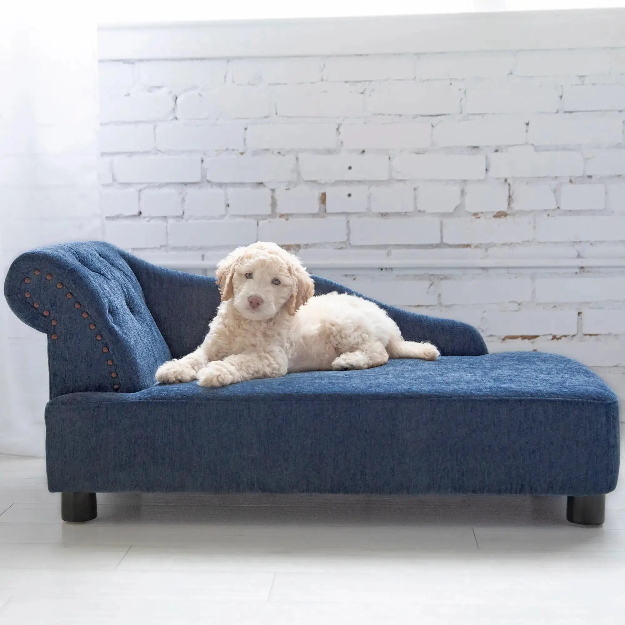 La-Z-Boy® Solana Chaise Sofa Pet Bed