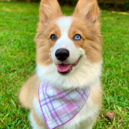 Lavender Luxe Flannel Dog Bandana