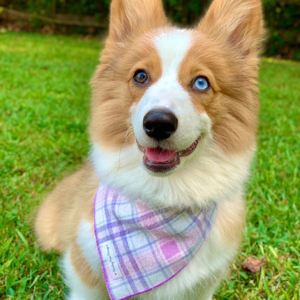 Lavender Luxe Flannel Dog Bandana