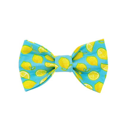 Lemon Bow Tie